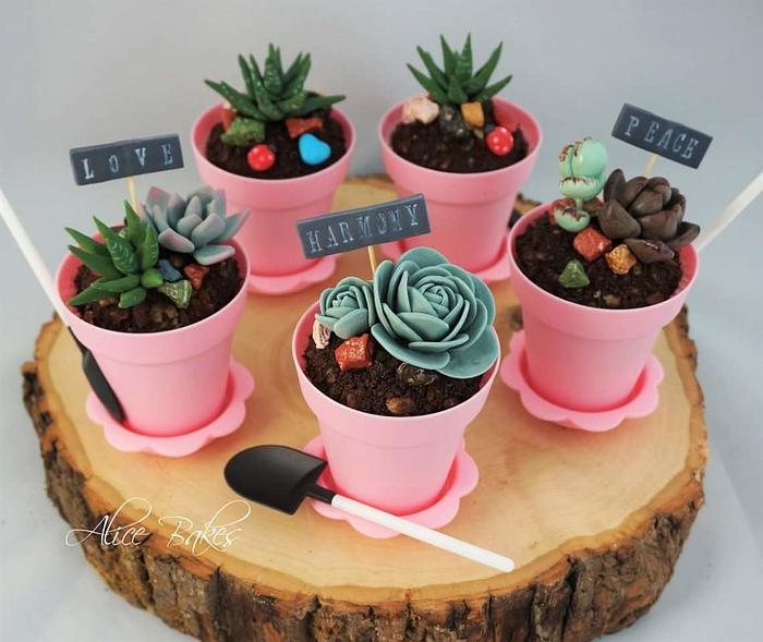 Succulent Pot Cupcakes
