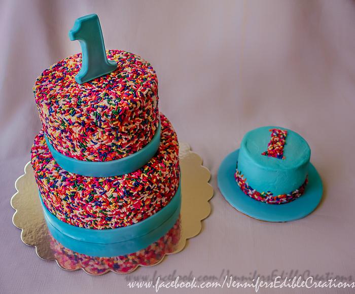 Sprinkles and Smash Cake for a 1st Birthday
