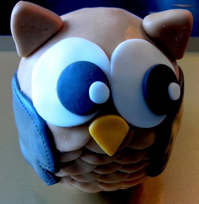 Owl on open book cake