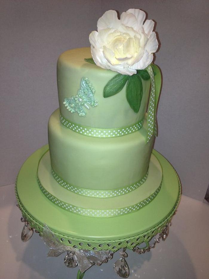 Surprise bridal shower cake for one of my summer brides. 