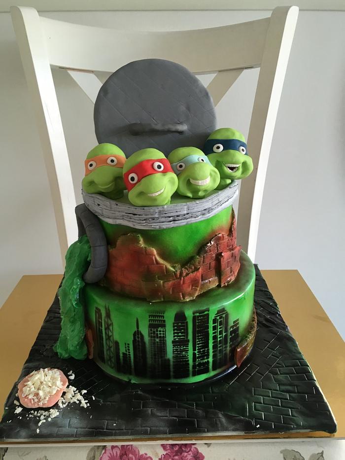 Turtle ninja cake