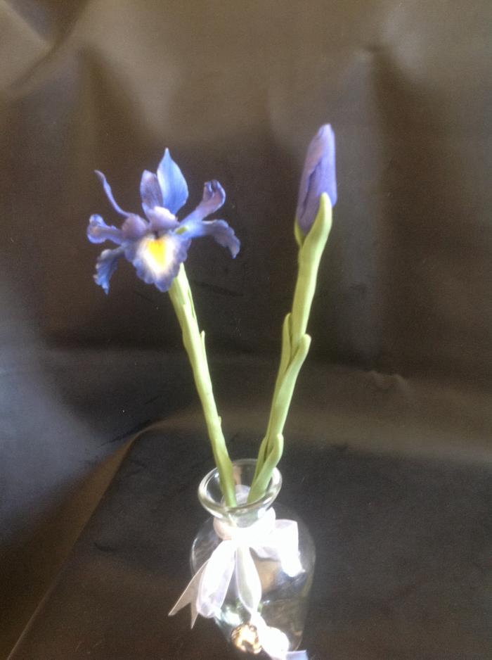 Gumpaste iris 
