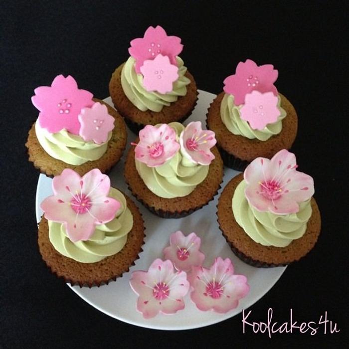 Japanese cherry blossom green tea cupcake