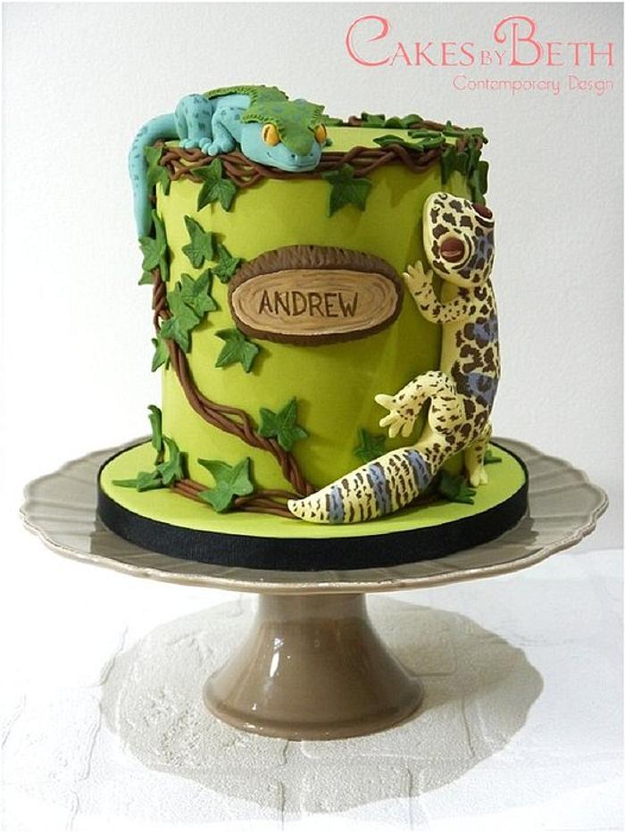 Angry Birds Cake, Andrew