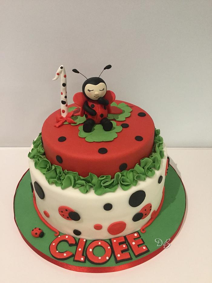 Lady bug cake 