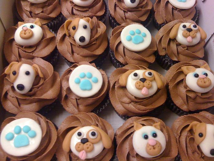 cats & dogs cupcakes