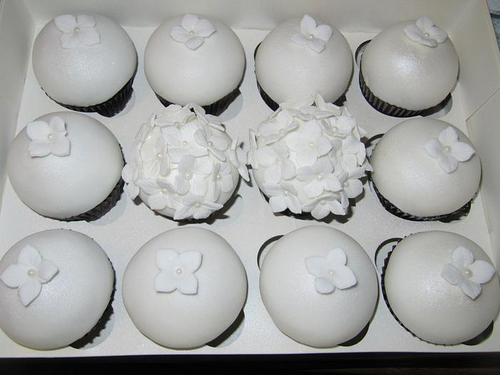 pure white, cupcakes samples for a wedding cake 