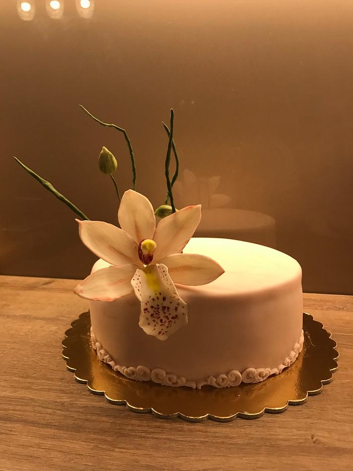 Cake orchidea cimbidium