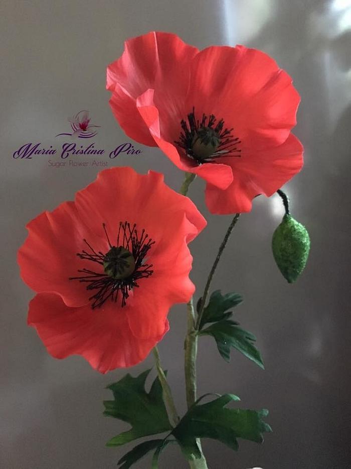 Summer colors...Airbrushed poppies