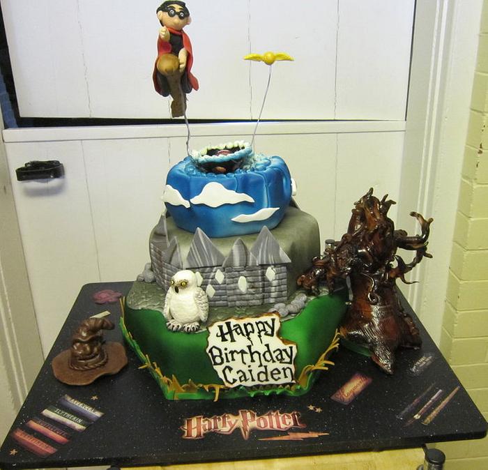 Flying Harry Potter Cake