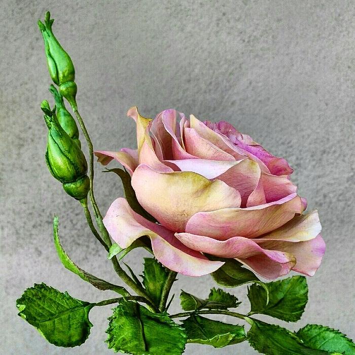 Free formed rose and jasmine