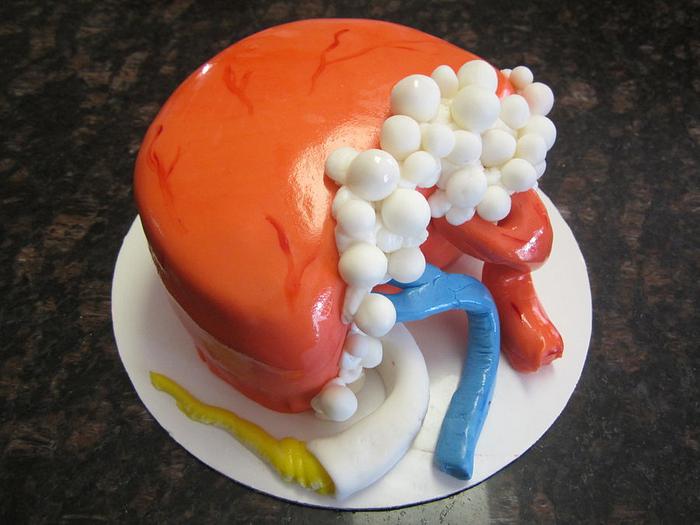 Kidney cake