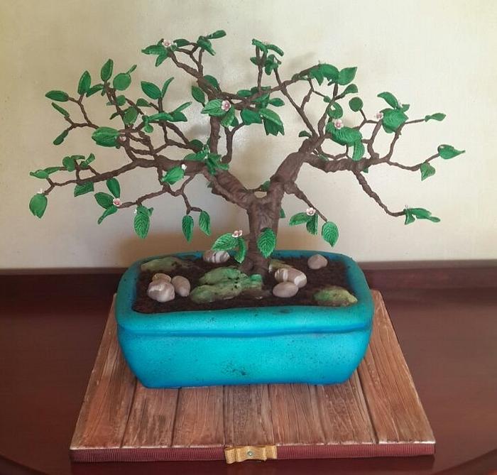 Bonsai Tree Cake