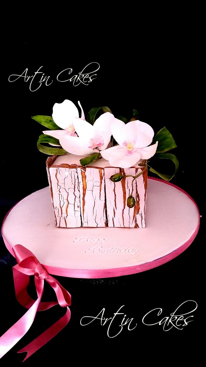 Phalaenopsis cake