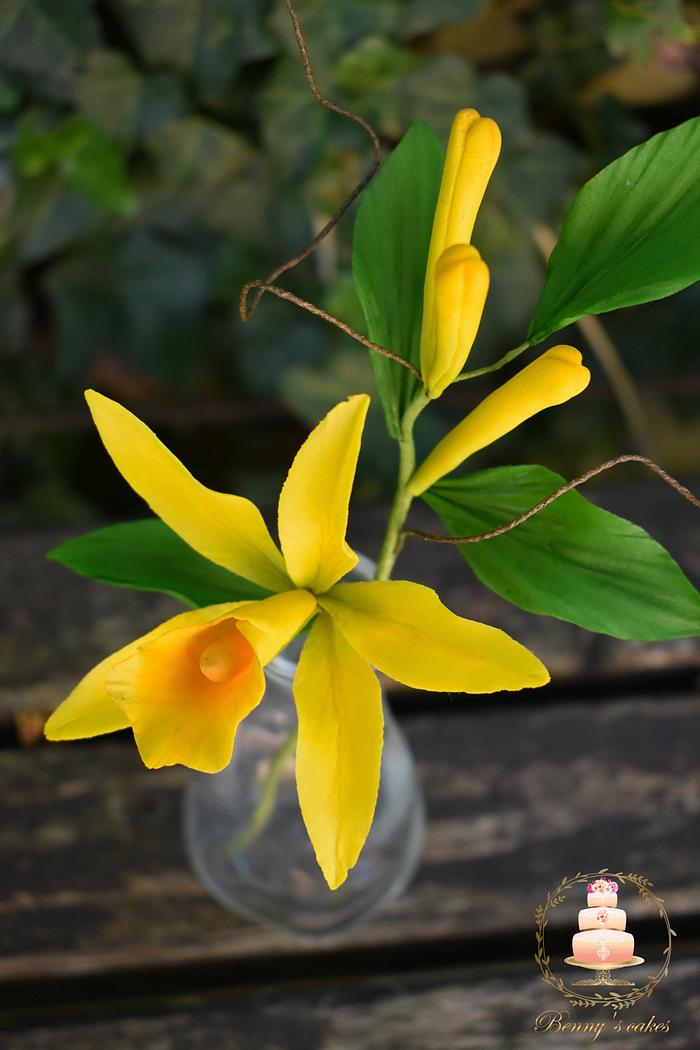 Vanila orchid sugar flowers