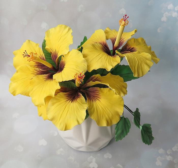 Yellow hibiscus sugar flowers