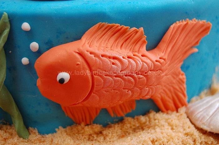 'Under the sea' fishy cake
