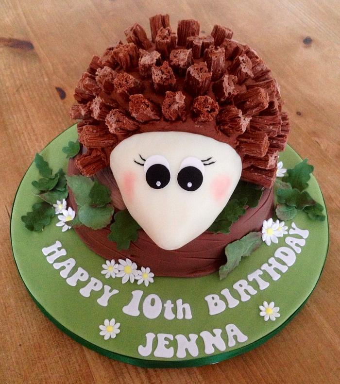 Hedgehog birthday cake! 