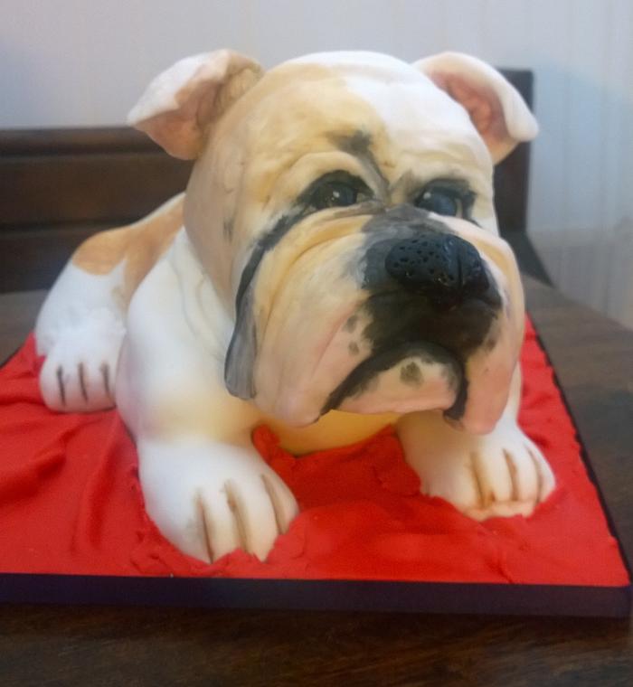 Bulldog Cake