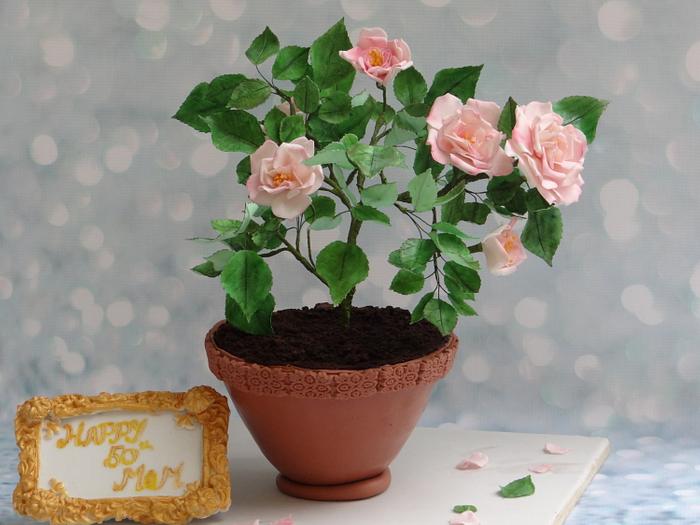 Rose plant Cake