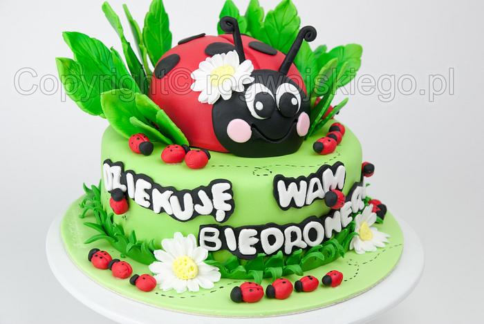 Ladybird Ladybug Cake /Tort z małymi biedroneczkami i jedną dużą biedronką :)