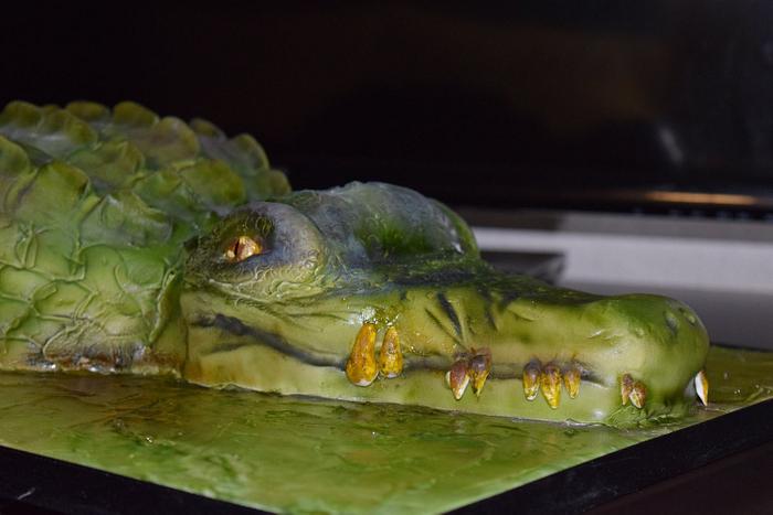 Crocodile Cake 