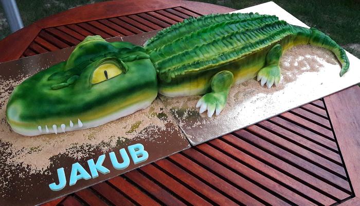 Aligator 3D Cake 