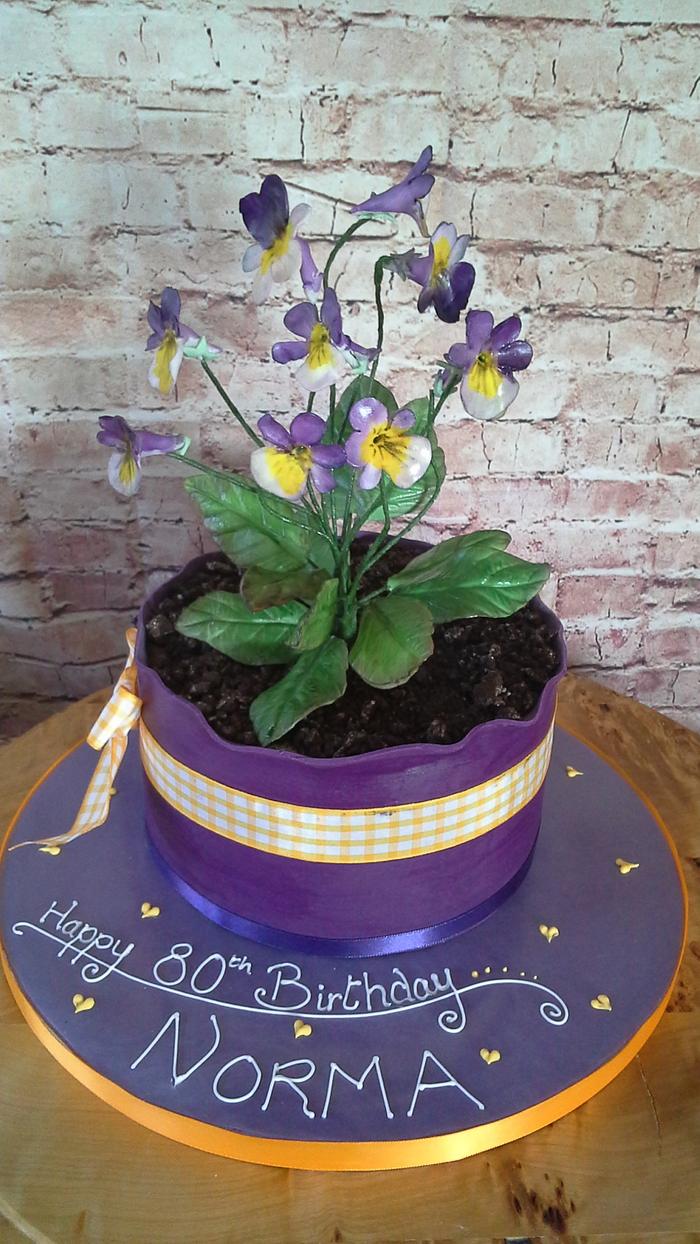 plant cake