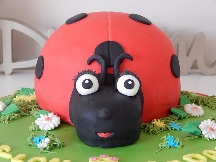 Red velvet ladybird cake