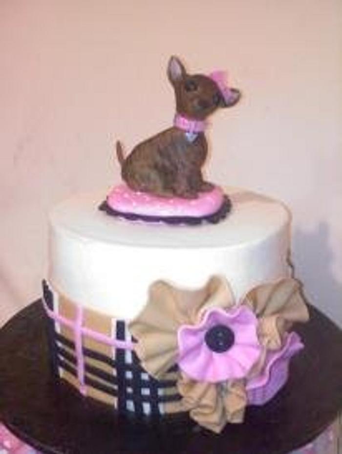 Chihuahua cake