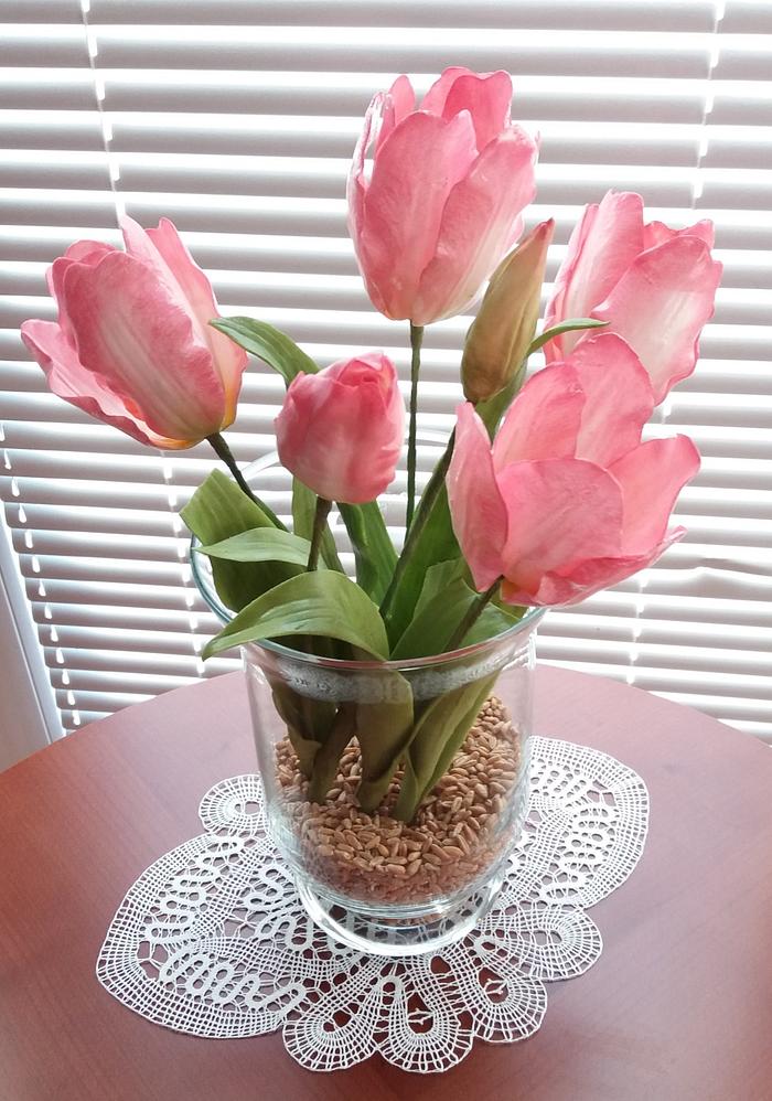 Pink sugar tulips