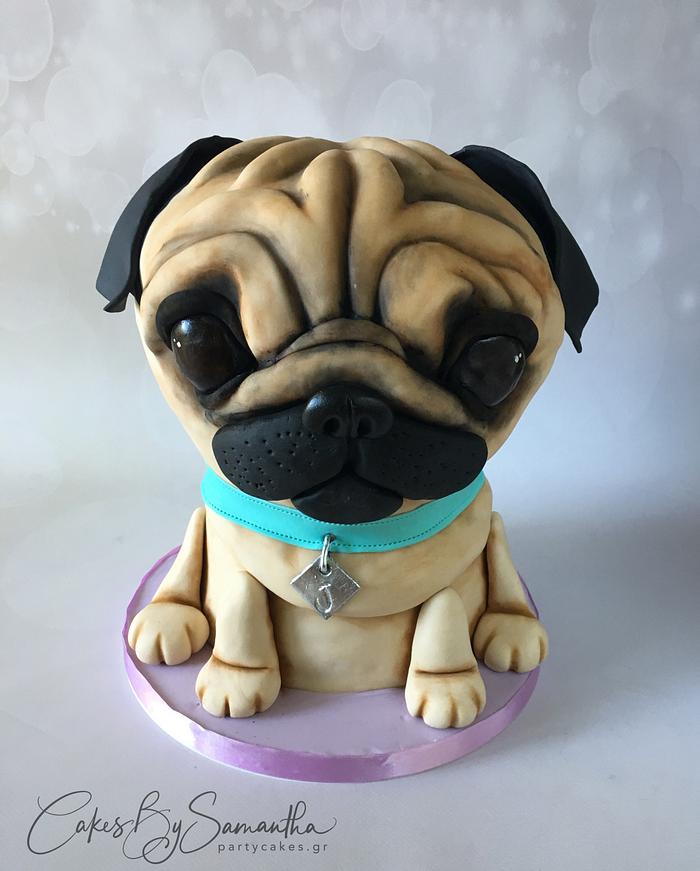3D Pug Puppy Cake