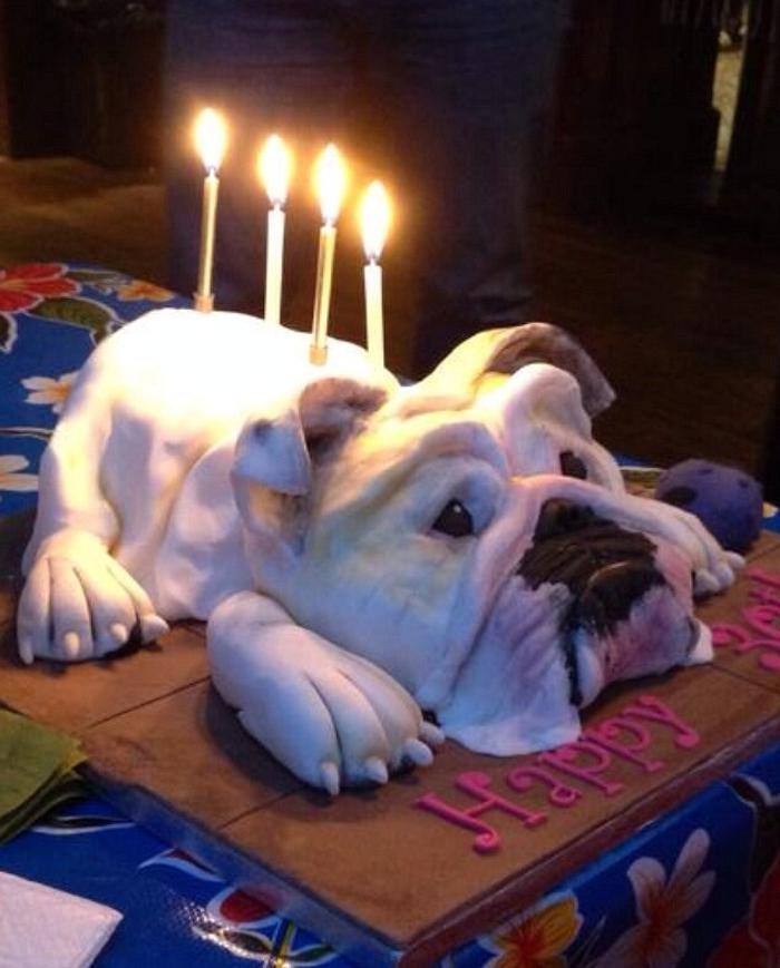 Bulldog cake 