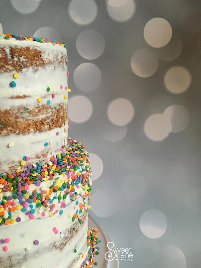 Naked Sprinkles Cake