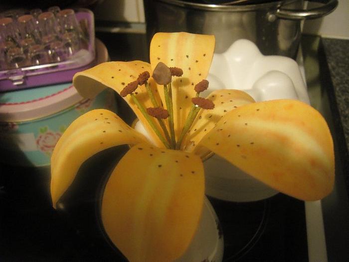 orange Lily