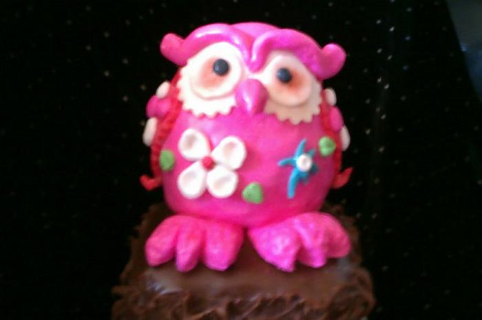 Pink owl cake