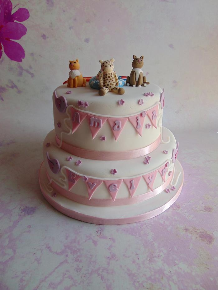 Baby naming celebration cake