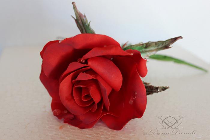 Red rose from sugar paste