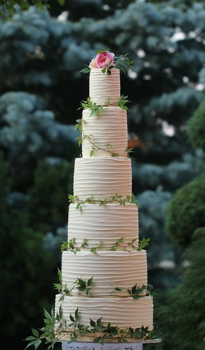 Rustic 6 tiers wedding cake : 