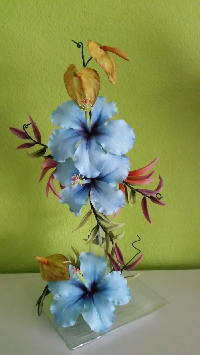 Blue Hibiscus...