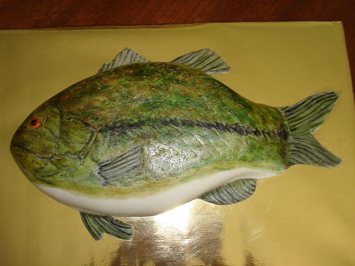 Groom Fish Cake