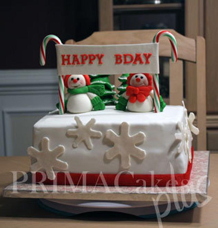 Christmas/Birthday Cake