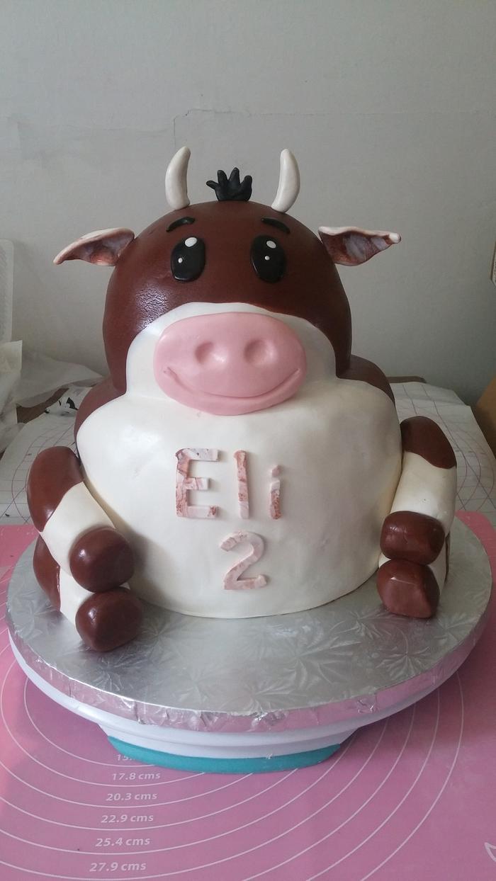 Eli's heifer cow birthday