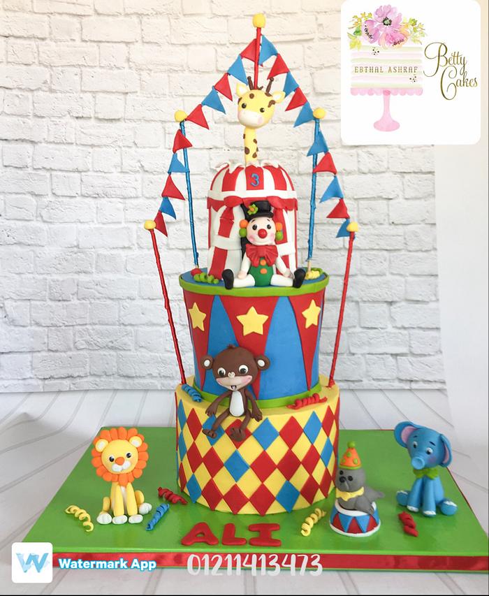 My second circus cake wish you like it