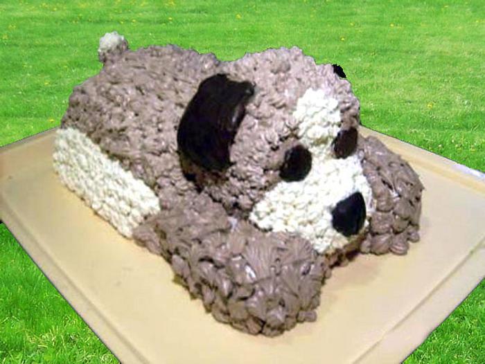 Cake Dog