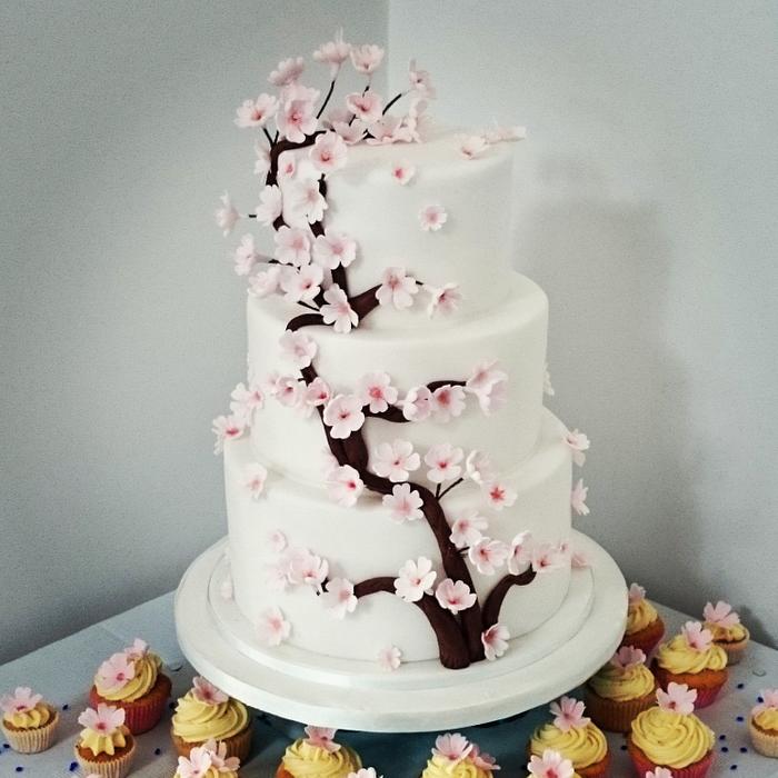 Cherry blossom wedding cake 