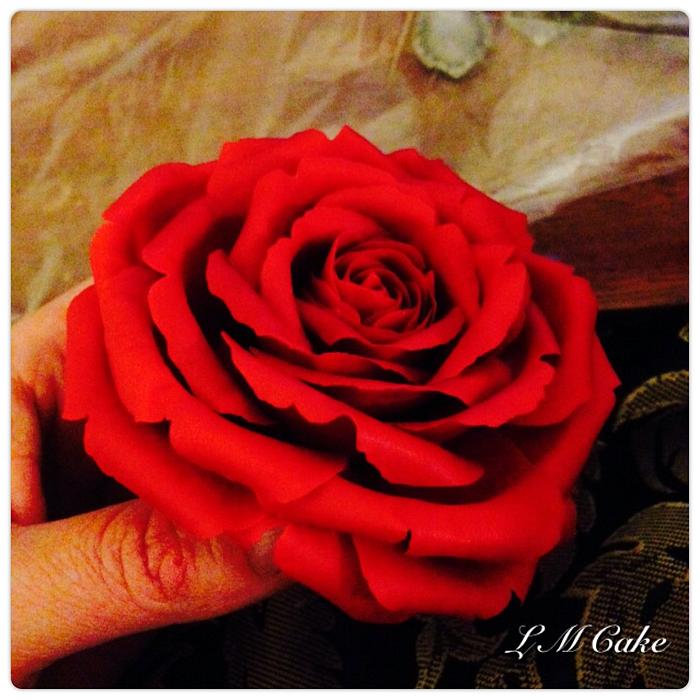 Red Sugar rose