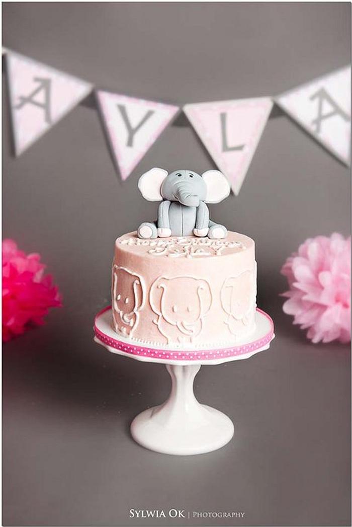 Elephant Smash Cake