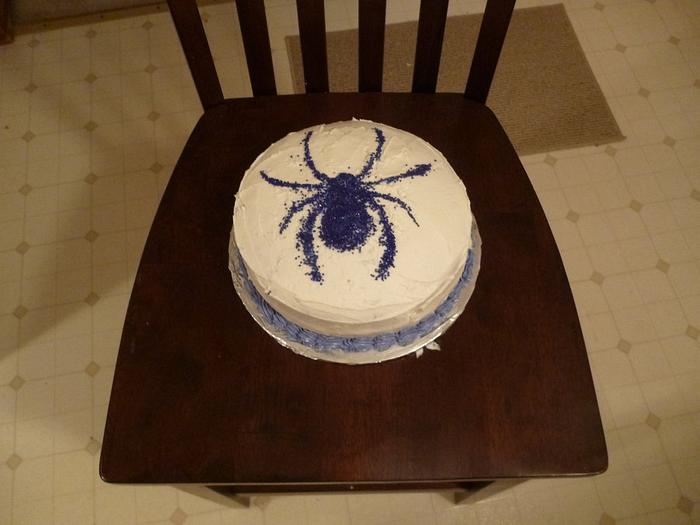 Halloween spider cake