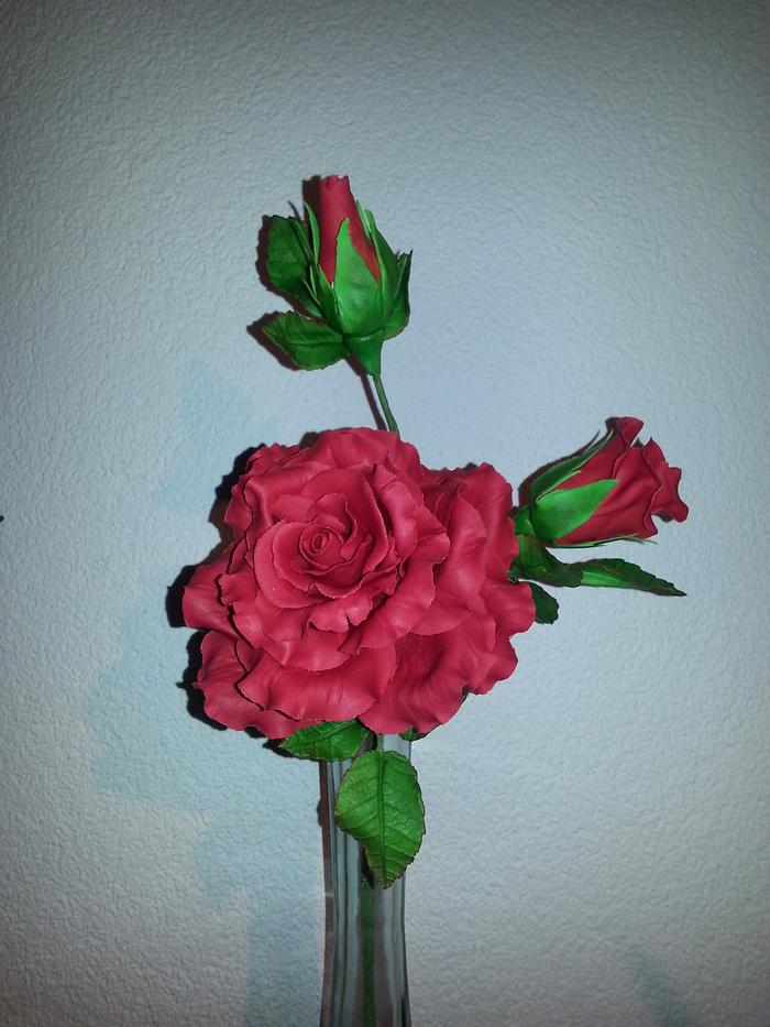 Roses Part I